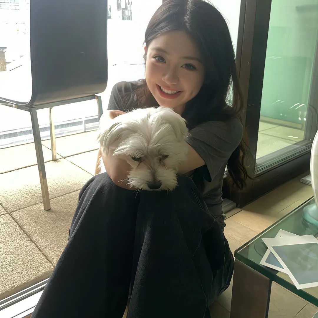 我的新野蛮女友